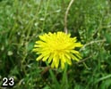 ε鷹.  . 2000 5